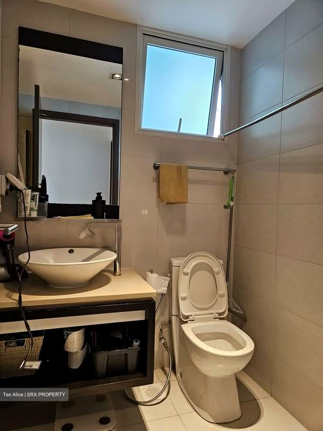 1 Canberra (D27), Condominium #570155931
